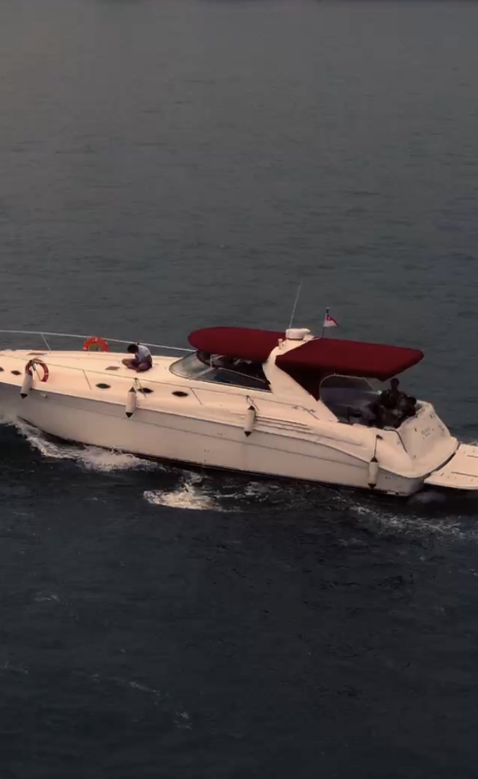 Searay Sundancer 470